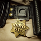 Image for article titled Finally, an actual premiere date for the Reno 911! revival